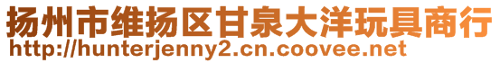 扬州市维扬区甘泉大洋玩具商行