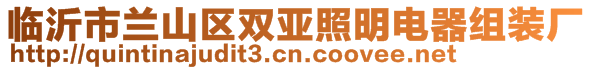臨沂市蘭山區(qū)雙亞照明電器組裝廠