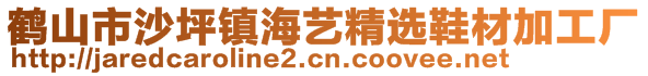 鶴山市沙坪鎮(zhèn)海藝精選鞋材加工廠