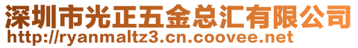 深圳市光正五金總匯有限公司