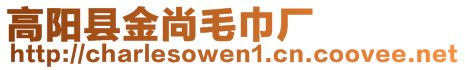 高陽(yáng)縣金尚毛巾廠