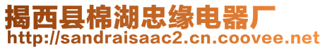 揭西縣棉湖忠緣電器廠