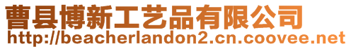 曹縣博新工藝品有限公司