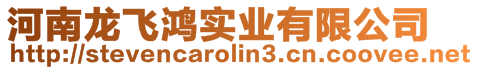 河南龍飛鴻實業(yè)有限公司