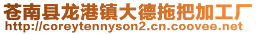 蒼南縣龍港鎮(zhèn)大德拖把加工廠