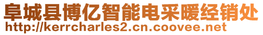 阜城縣博億智能電采暖經(jīng)銷處