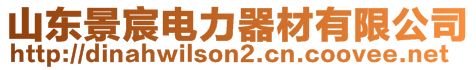 山東景宸電力器材有限公司