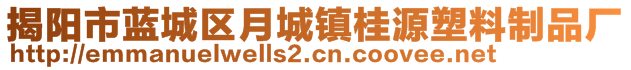 揭陽市藍城區(qū)月城鎮(zhèn)桂源塑料制品廠