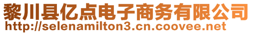 黎川县亿点电子商务有限公司