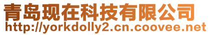 青島現在科技有限公司