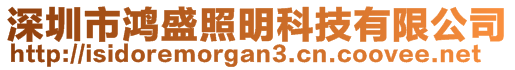 深圳市鴻盛照明科技有限公司