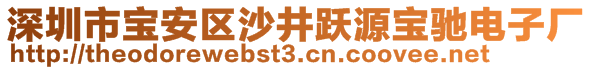 深圳市寶安區(qū)沙井躍源寶馳電子廠