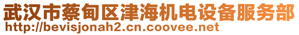 武漢市蔡甸區津海機電設備服務部