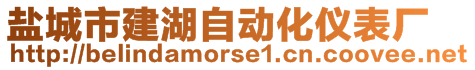 鹽城市建湖自動(dòng)化儀表廠