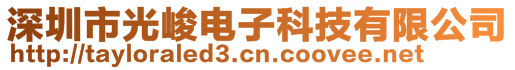 深圳市光峻电子科技有限公司