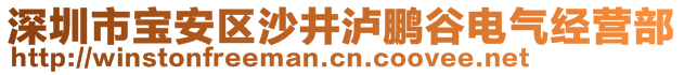 深圳市寶安區(qū)沙井瀘鵬谷電氣經(jīng)營部