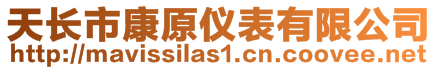 天長市康原儀表有限公司