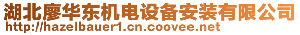 湖北廖華東機電設(shè)備安裝有限公司