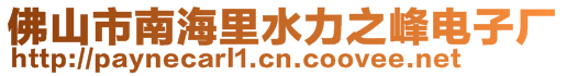 佛山市南海里水力之峰電子廠