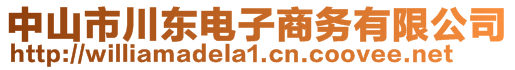 中山市川東電子商務(wù)有限公司