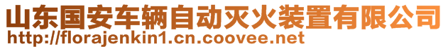 山東國(guó)安車輛自動(dòng)滅火裝置有限公司