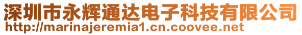 深圳市永輝通達電子科技有限公司