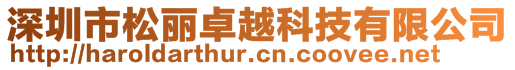 深圳市松麗卓越科技有限公司