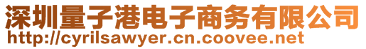 深圳量子港電子商務(wù)有限公司