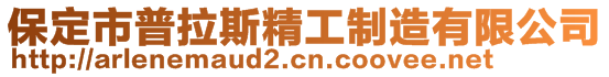 保定市普拉斯精工制造有限公司