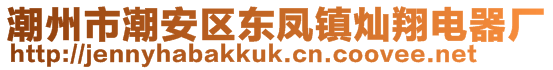 潮州市潮安区东凤镇灿翔电器厂