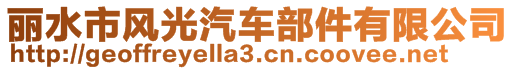 麗水市風(fēng)光汽車部件有限公司