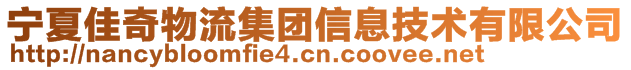 寧夏佳奇物流集團信息技術有限公司