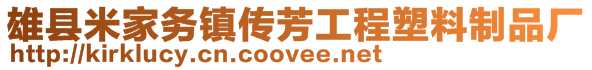 雄县米家务镇传芳工程塑料制品厂