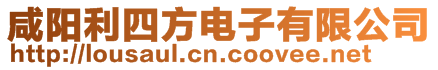 咸陽(yáng)利四方電子有限公司