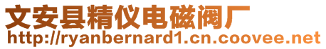 文安縣精儀電磁閥廠