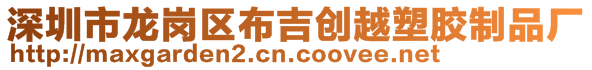 深圳市龍崗區(qū)布吉創(chuàng)越塑膠制品廠
