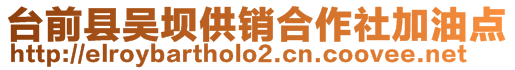 台前县吴坝供销合作社加油点