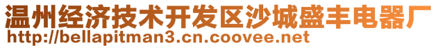 温州经济技术开发区沙城盛丰电器厂