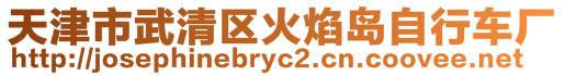 天津市武清區(qū)火焰島自行車廠