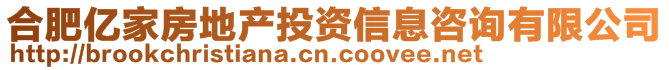 合肥億家房地產(chǎn)投資信息咨詢(xún)有限公司