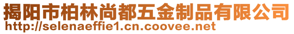 揭阳市柏林尚都五金制品有限公司