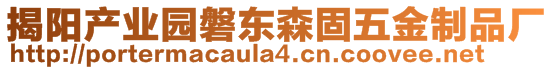 揭陽產(chǎn)業(yè)園磐東森固五金制品廠