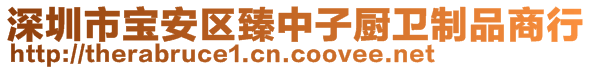 深圳市寶安區(qū)臻中子廚衛(wèi)制品商行