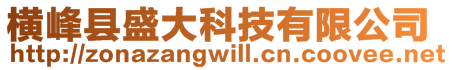 橫峰縣盛大科技有限公司