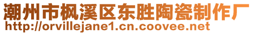 潮州市枫溪区东胜陶瓷制作厂