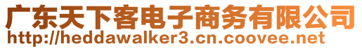 廣東天下客電子商務有限公司