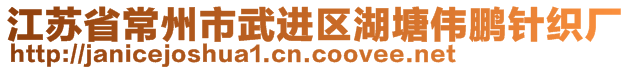 江蘇省常州市武進(jìn)區(qū)湖塘偉鵬針織廠