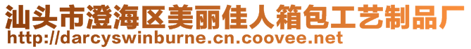 汕頭市澄海區(qū)美麗佳人箱包工藝制品廠