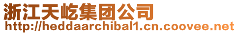浙江天屹集團公司