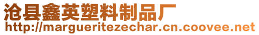 滄縣鑫英塑料制品廠